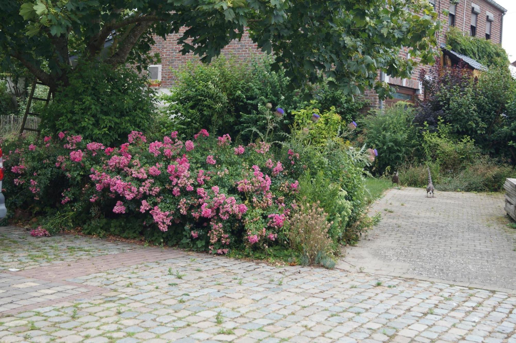 La Petite Maison Sart lez Walhain ภายนอก รูปภาพ